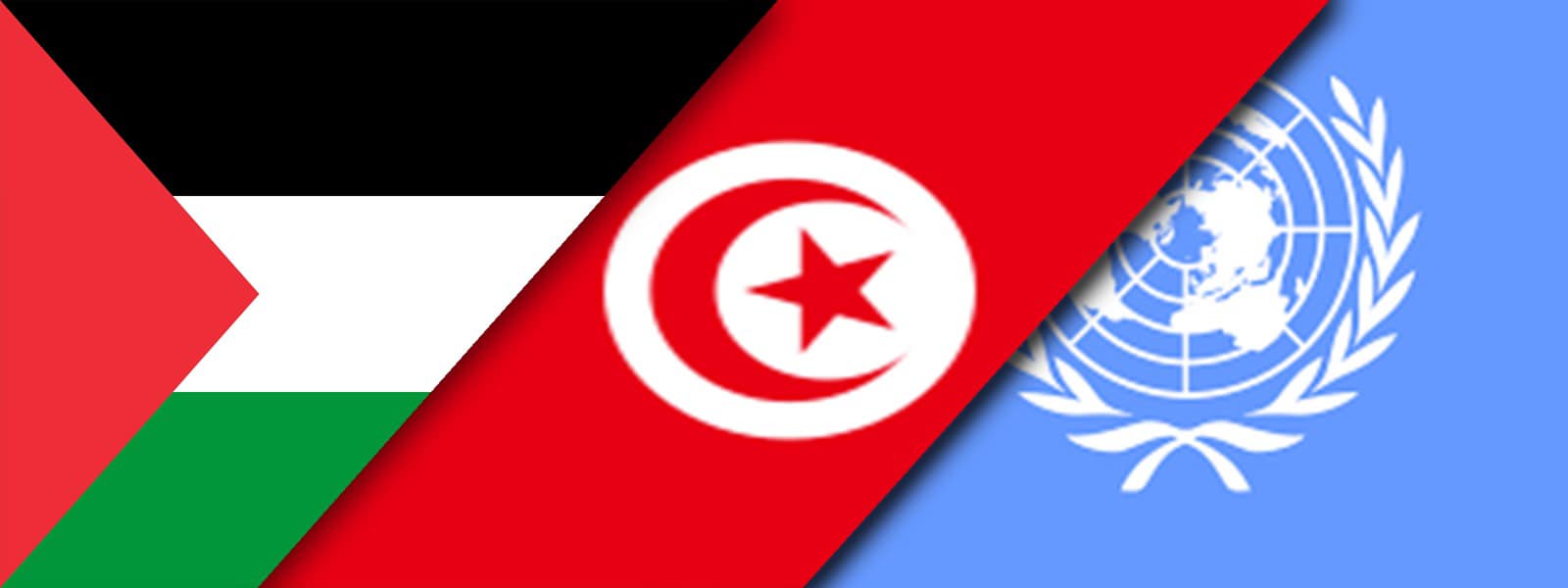 بتكليف من رئيس الجمهورية :اللّغماني يقدم المرافعة الشّفاهيّة لتونس أمام المحكمة الدّولية